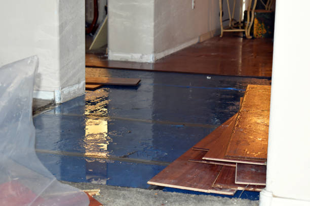 Professional Water Damage Restoration technician working in Tebbetts, MO
